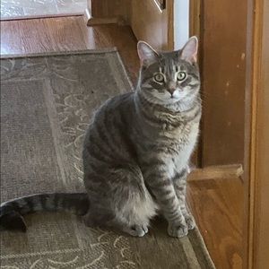 Meet your Posher, Lisa